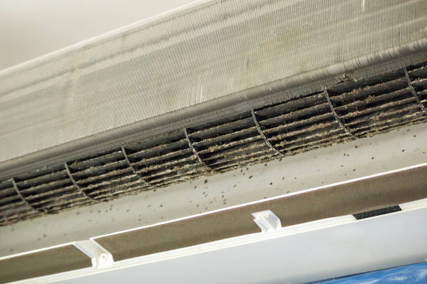 Best Air Duct Cleaning Near Me  in Heath, OH